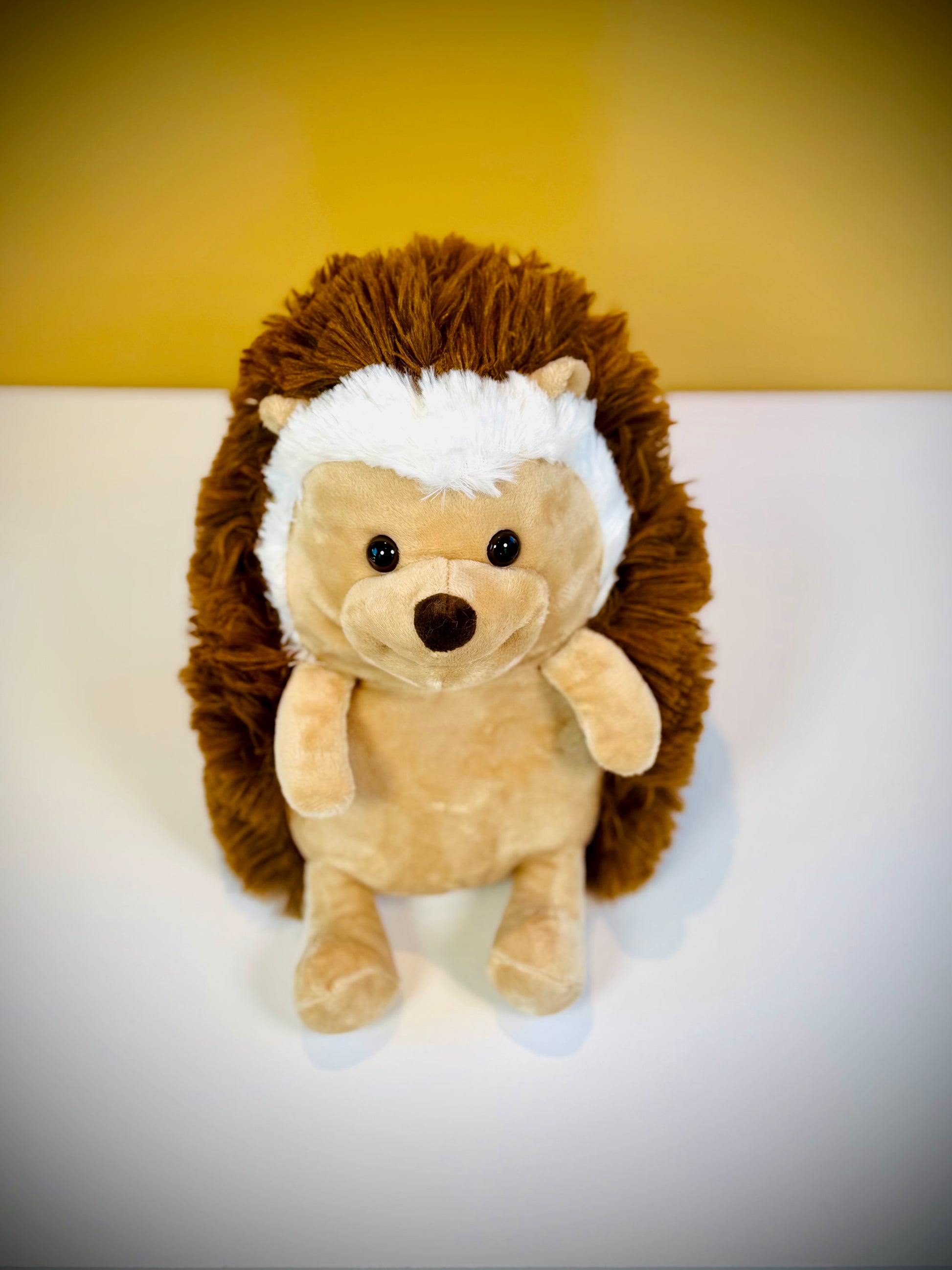 stuffed animal hedgehog, plushie hedgehog, hugs